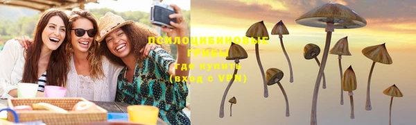 дживик Алексеевка