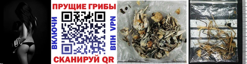 Галлюциногенные грибы MAGIC MUSHROOMS  Болхов 